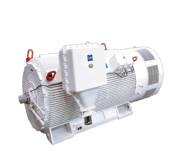 VEM DXF Exd Explosion Proof Motor