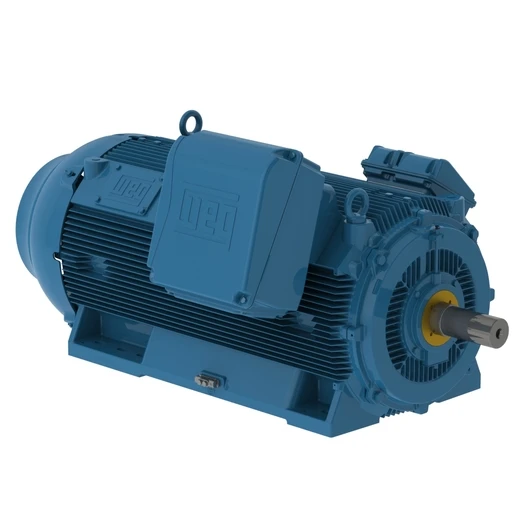 WEG HGF Series Medium High Voltage Motor