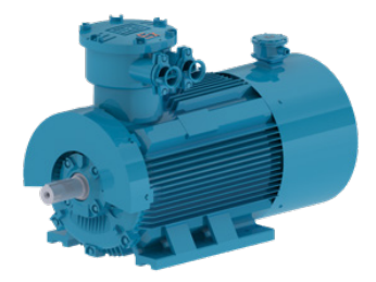 WEG W21LX Flameproof Motor